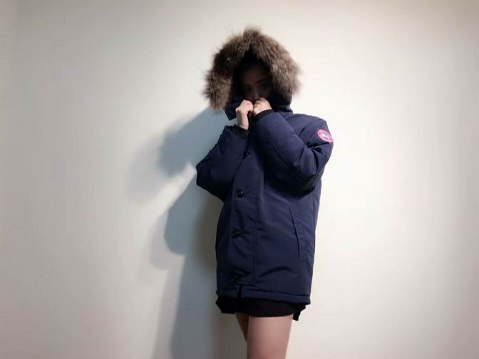 canada goose-006